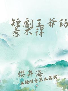短剧王爷的王妃惹不得