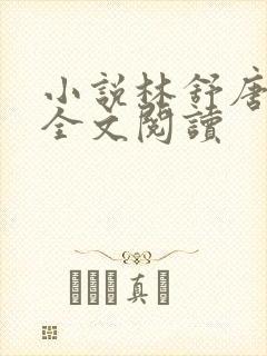 小说林舒唐亦琛全文阅读