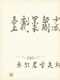 泰剧黑帮少爷爱上我未删减