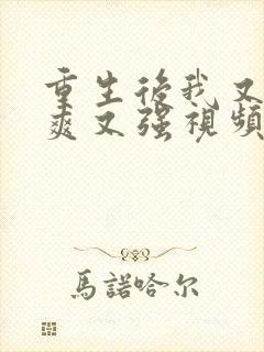 重生后我又飒又爽又强视频