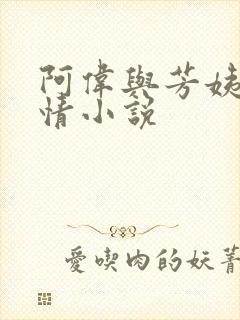 阿伟与芳姨的言情小说