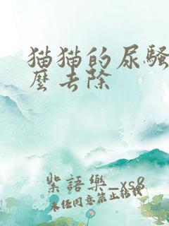 猫猫的尿骚味怎么去除