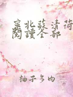 宁北苏清荷小说阅读全部