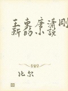 王东唐潇刚刚更新的小说