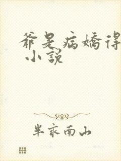 爷是病娇得宠着 小说