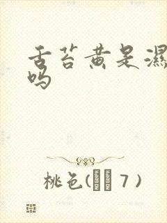 舌苔黄是湿气重吗