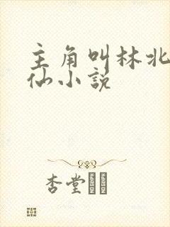 主角叫林北的修仙小说
