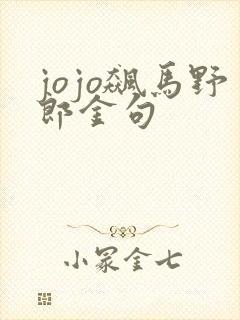 jojo飙马野郎金句