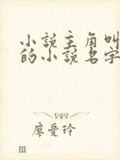 小说主角叫叶凡的小说名字