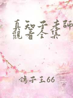 真知子老师免费观看全集