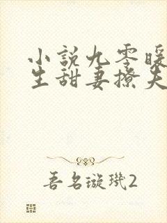 小说九零暖婚重生甜妻撩夫忙