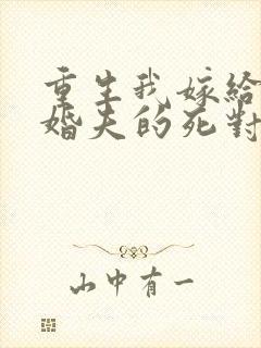 重生我嫁给了未婚夫的死对头