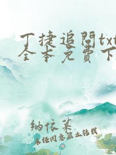 丁捷追问txt全本免费下载