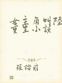 女主角叫陆晚的重生小说