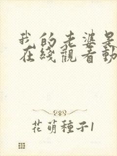 我的老婆是魅魔在线观看动漫全集