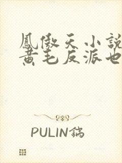 凤傲天小说里的黄毛反派也想要幸福免费