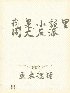 我是小说里的共同大反派