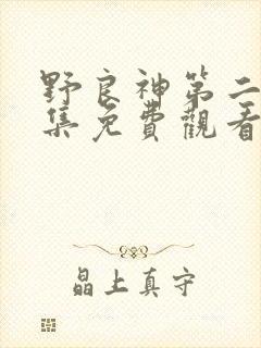 野良神第二季全集免费观看