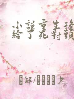 小说重生后我嫁给了死对头