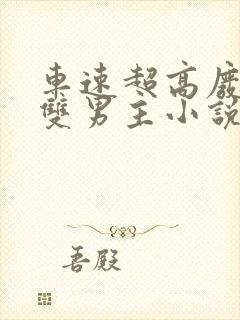 车速超高废文的双男主小说推荐短篇