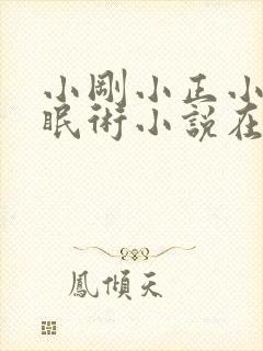 小刚小正小柔催眠术小说在线阅读