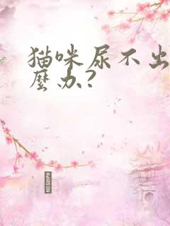 猫咪尿不出尿怎么办?