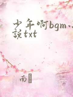 少年啊bgm小说txt