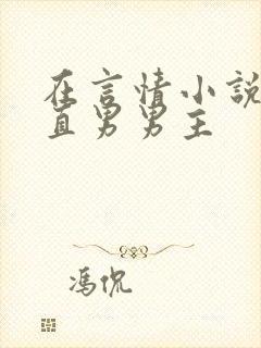 在言情小说里撩直男男主