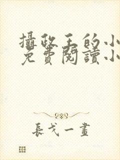 摄政王的小娇妻免费阅读小说