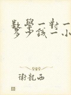 数学一对一辅导多少钱一小时