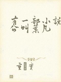 有一部小说主人公叫叶凡