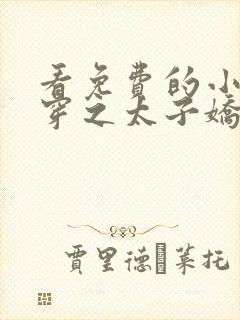 看免费的小说清穿之太子娇妃