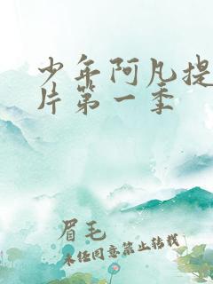 少年阿凡提动画片第一季