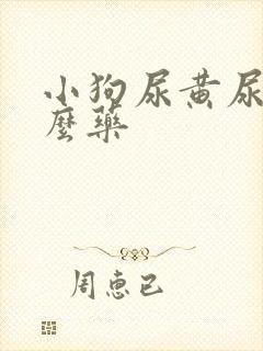 小狗尿黄尿吃什么药