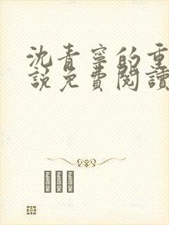 沈青宁的重生小说免费阅读