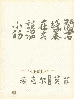 小说在线阅读我的温柔暴君