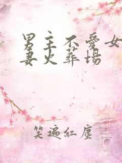 男主不爱女主追妻火葬场