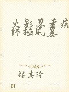 火影忍者疾风传终极风暴