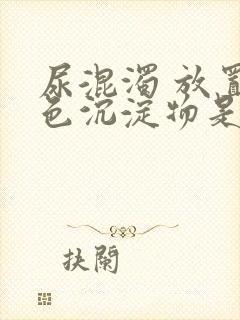 尿混浊 放置白色沉淀物是什么原因