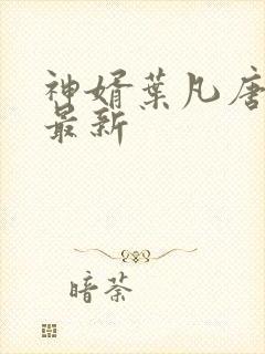 神婿叶凡唐若雪最新