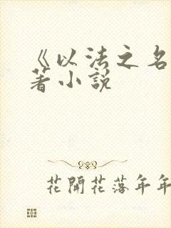 《以法之名》原著小说