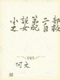 小说第二部穿书之女配自救指南