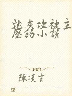 炮灰攻被主角攻压的小说