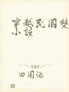 穿越民国双男主小说