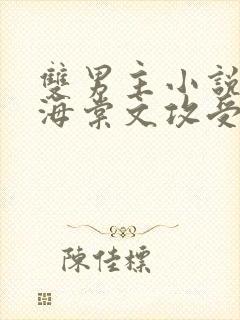 双男主小说高干海棠文攻受