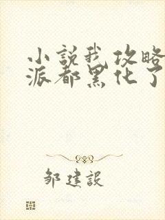 小说我攻略的反派都黑化了免费