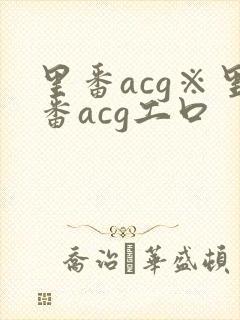 里番acg※里番acg工口