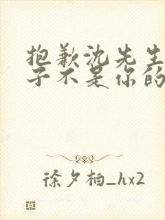 抱歉沈先生,孩子不是你的短剧版