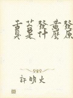 舌苔发黄发苦口臭是什么原因