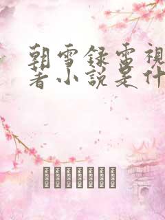 朝雪录电视剧原著小说是什么